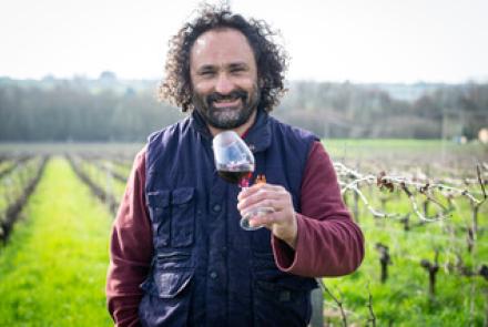 Vignobles Gourgourio
