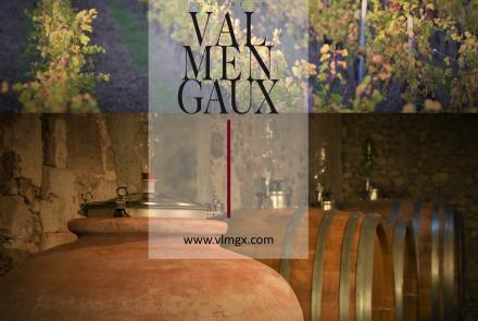 Les vignes, le chai
